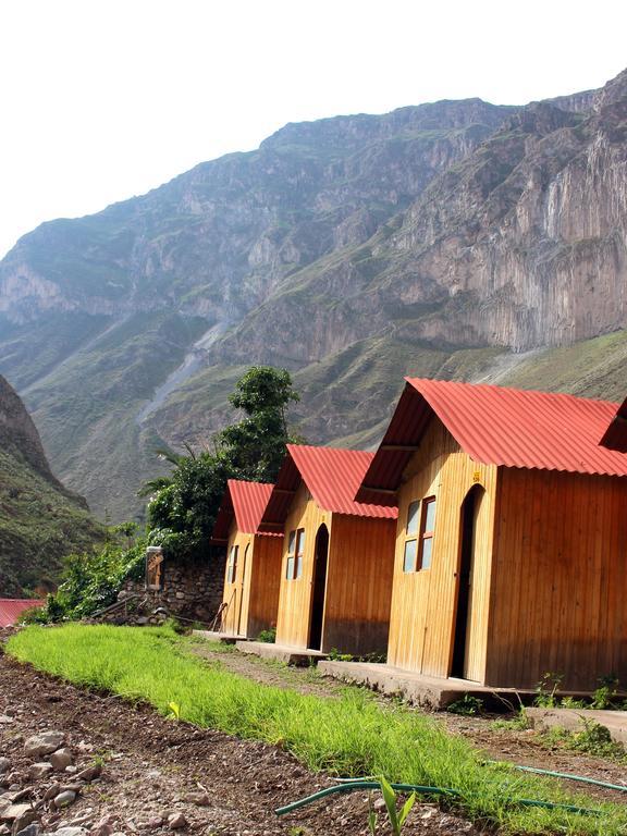 Oasis Paraiso Ecolodge Cabanaconde Kültér fotó