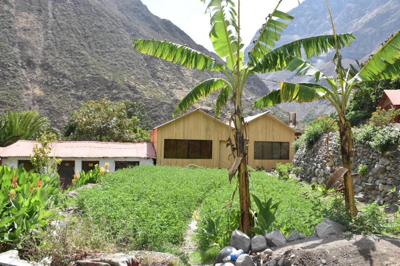 Oasis Paraiso Ecolodge Cabanaconde Kültér fotó