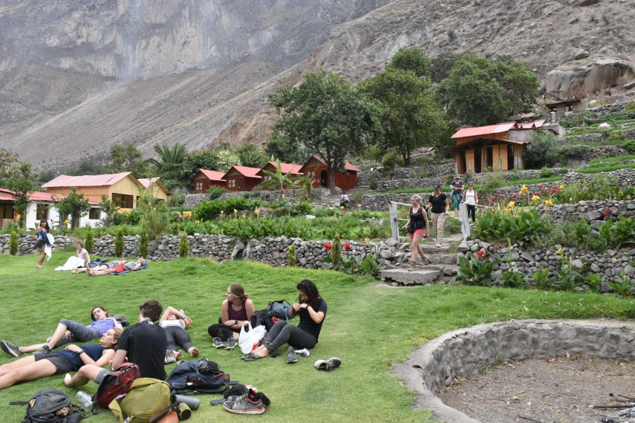 Oasis Paraiso Ecolodge Cabanaconde Kültér fotó